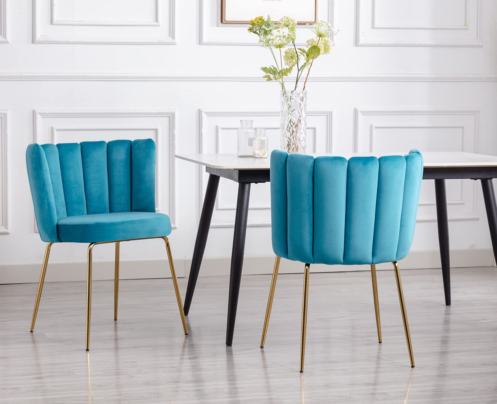 Janoray Modern Velvet Dining Chairs Accent Chair Set of 2