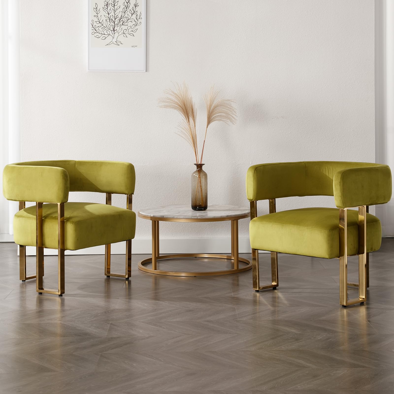 Janoray Modern Barrel Accent Chairs with Gold Metal Legs Set of 2