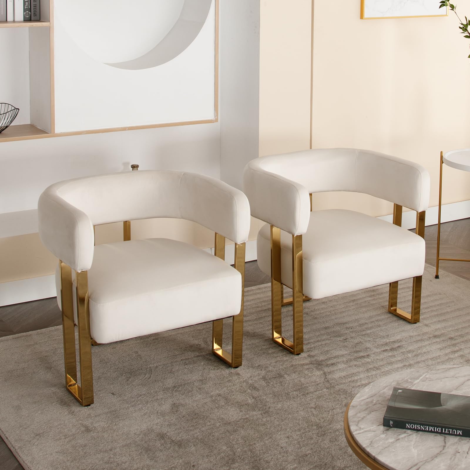 Janoray Modern Barrel Accent Chairs with Gold Metal Legs Set of 2