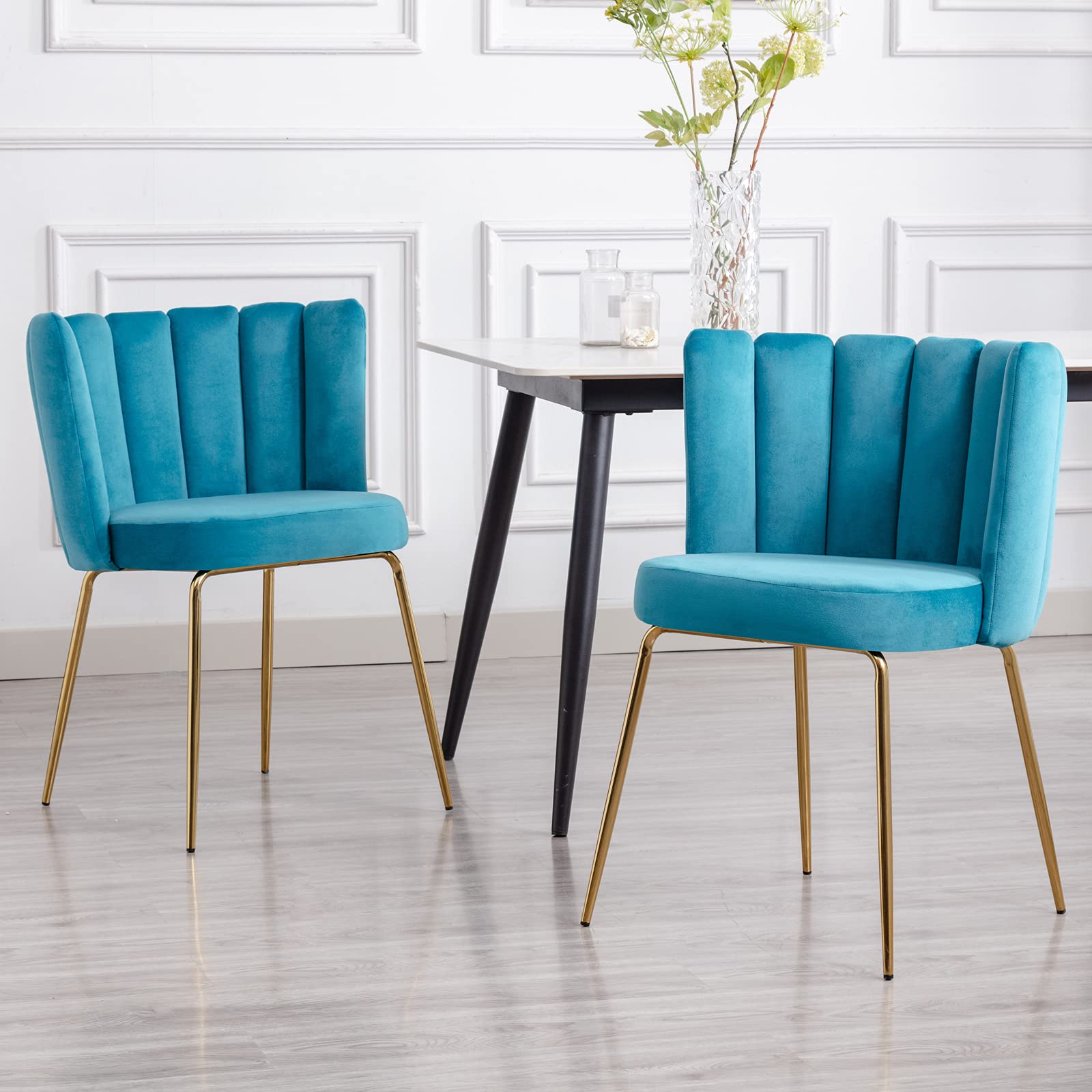 Janoray Modern Velvet Dining Chairs Accent Chair Set of 2