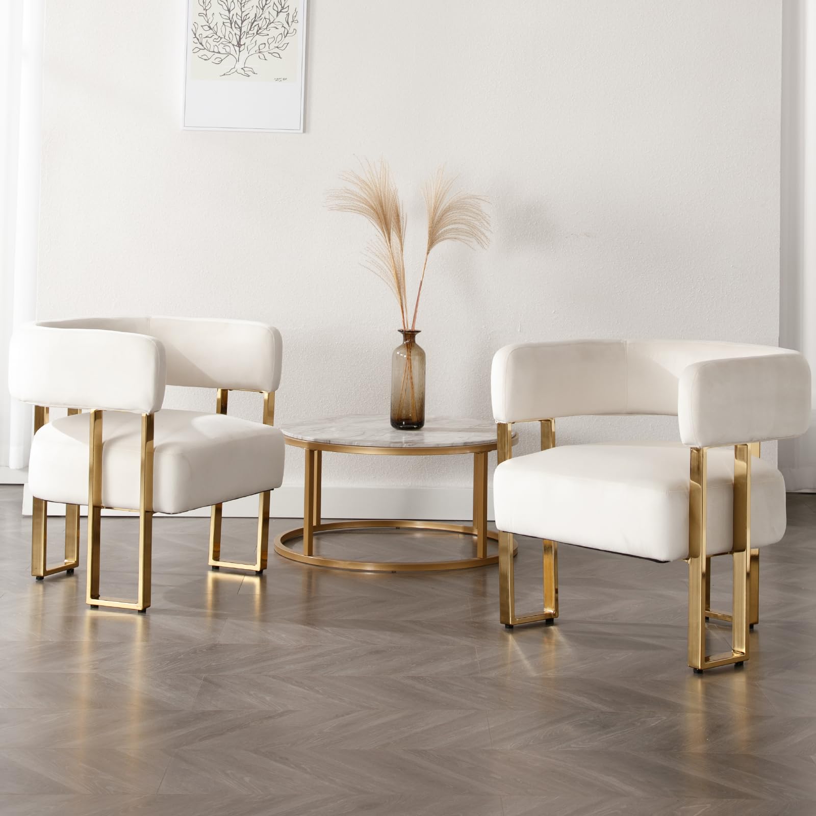 Janoray Modern Barrel Accent Chairs with Gold Metal Legs Set of 2