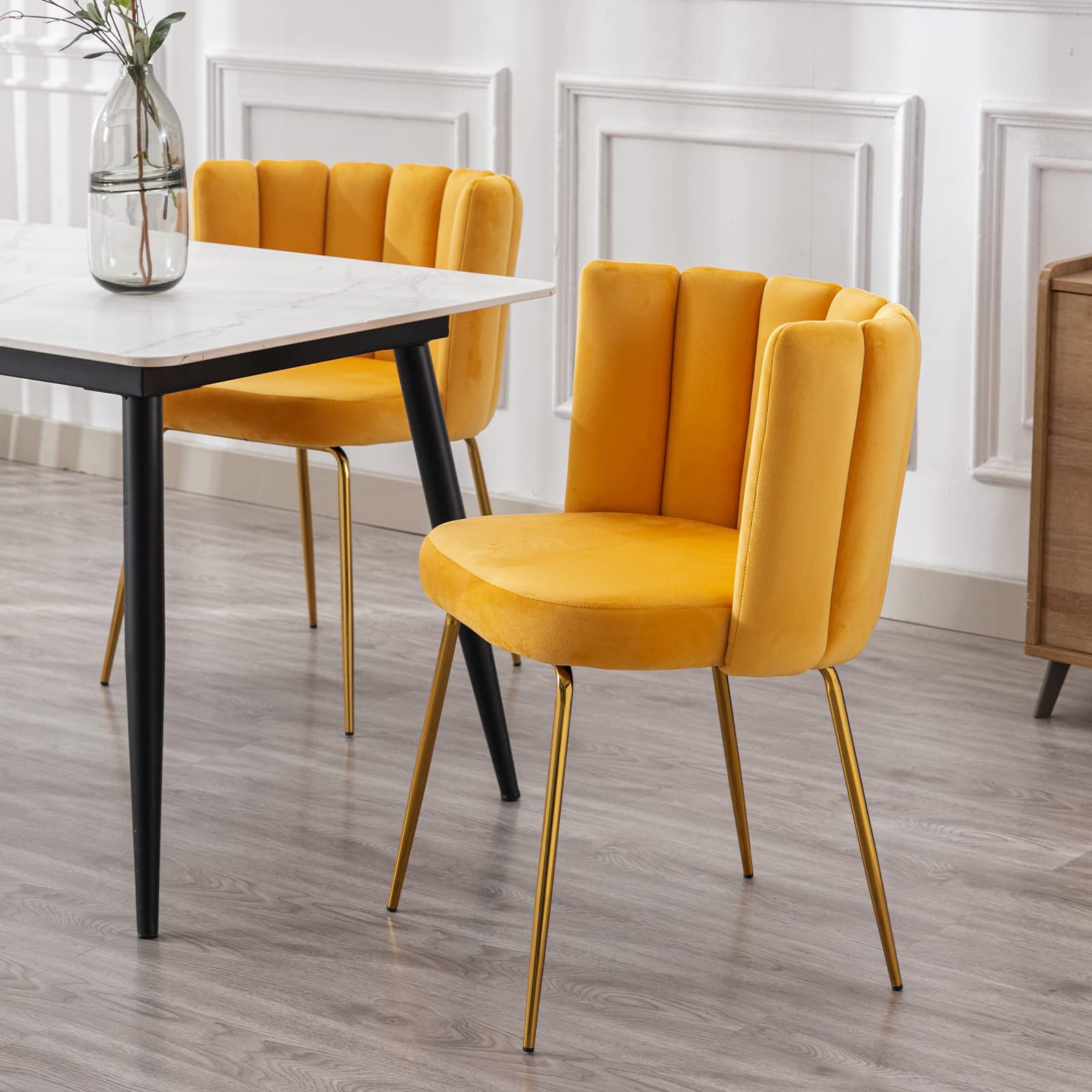 Janoray Modern Velvet Dining Chairs Accent Chair Set of 2